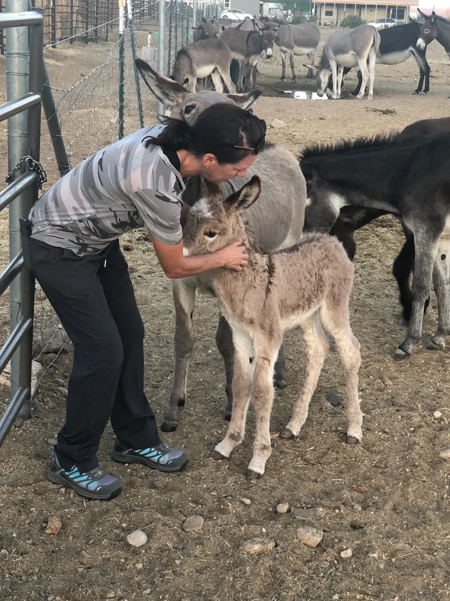 Baby Eli getting a hug at the rescue