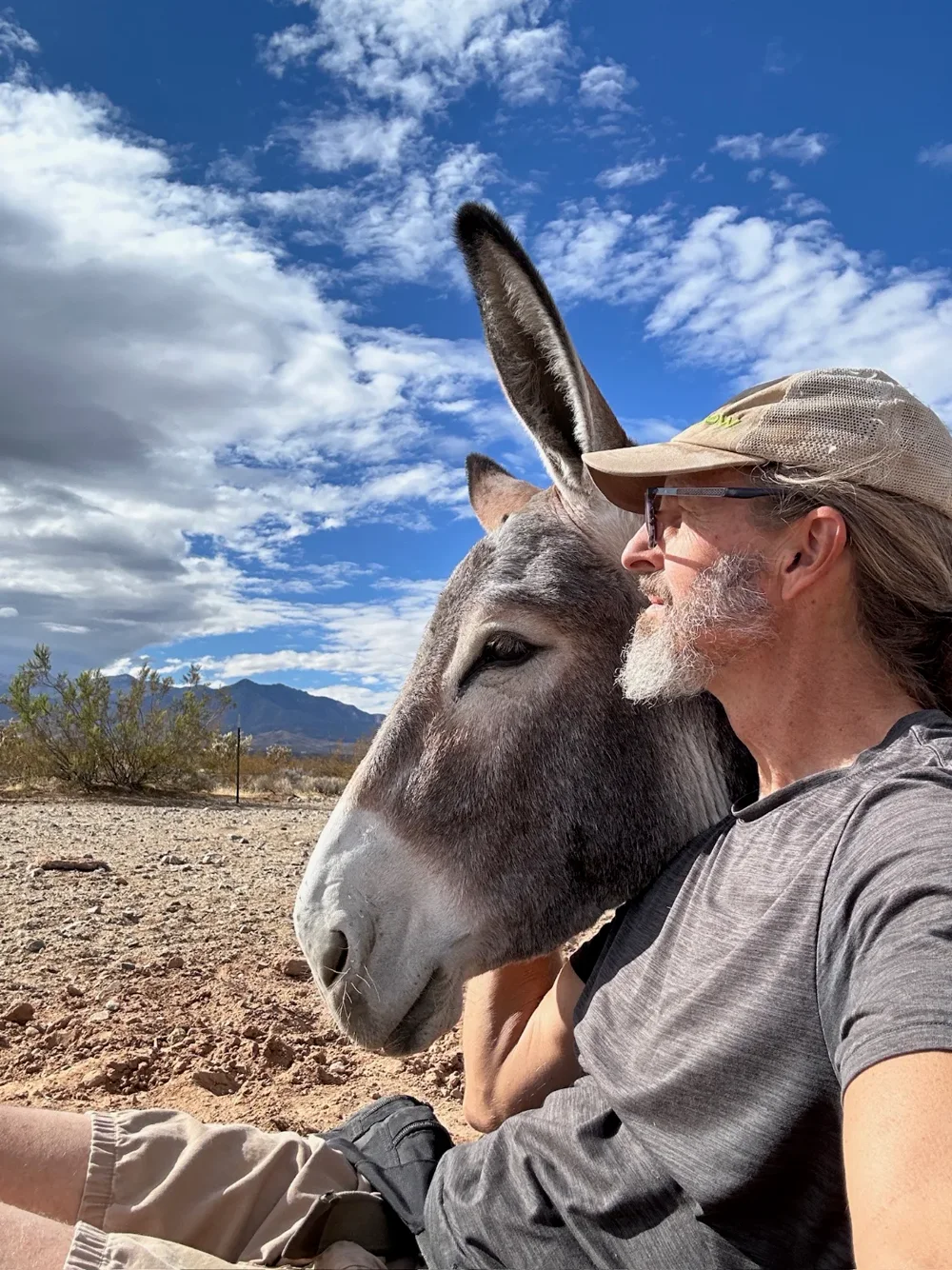 Sitting cheek to cheek with a burro under a big desert sky