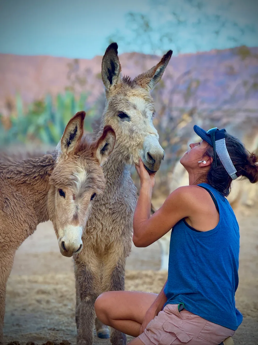 A caretaker kneeling with two fuzzy young burros, looking up at them