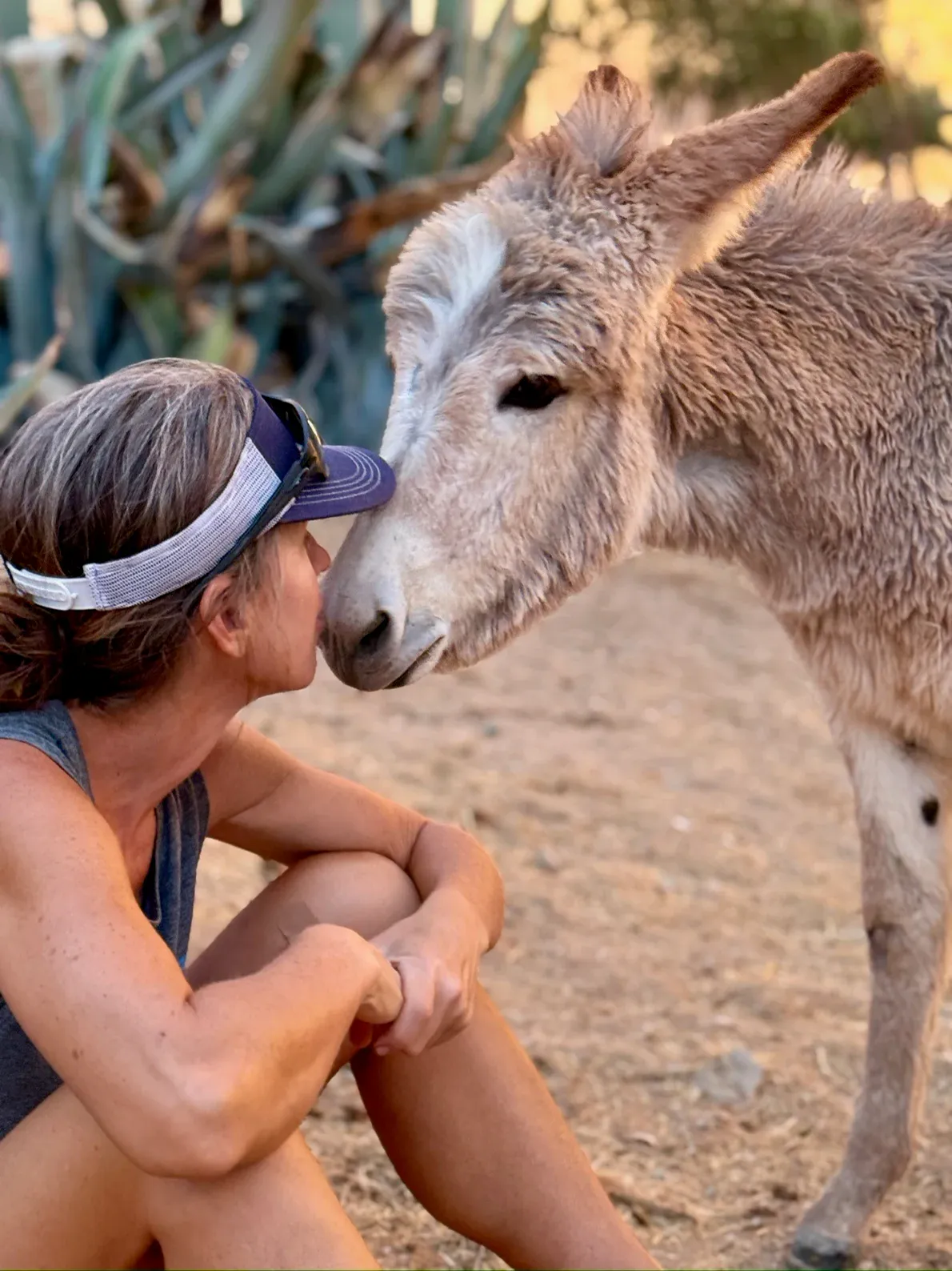 Nose to nose with one of the Brave Herd