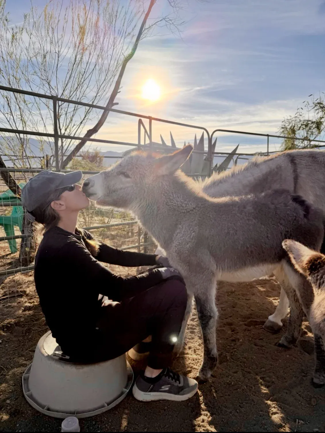A quiet moment with one of the Brave Herd’s moms